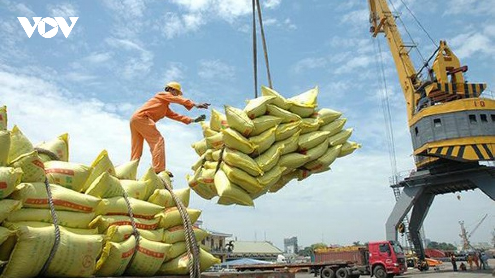 Vietnamese rice makes up 84% of Filipino rice imports